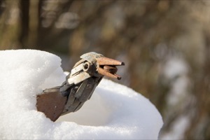 A metal bird sculpture with its head peeking 
                         out of a snow bank